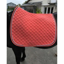 tapis dressage