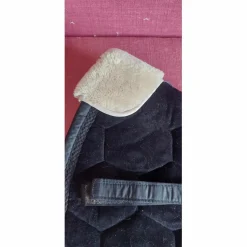 Tapis dressage