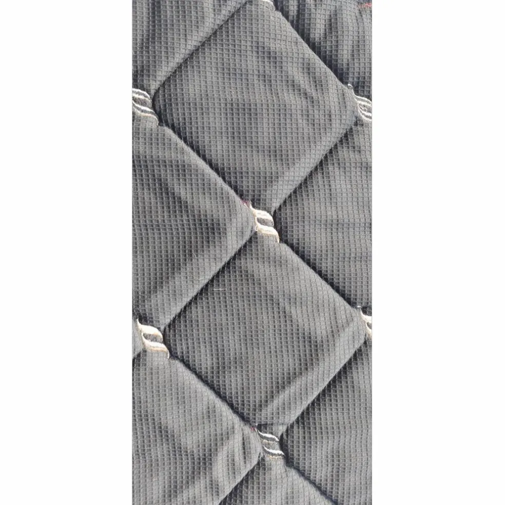 Tapis dressage
