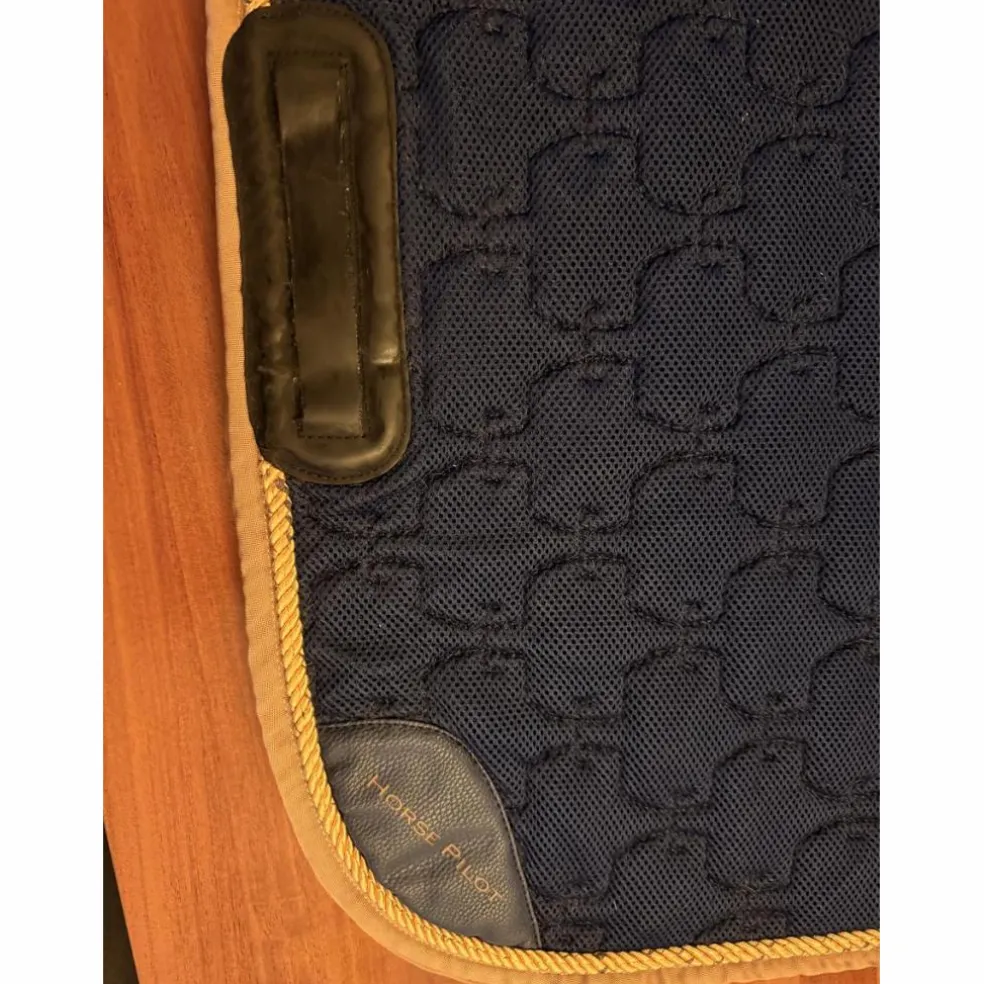 Tapis horse pilot