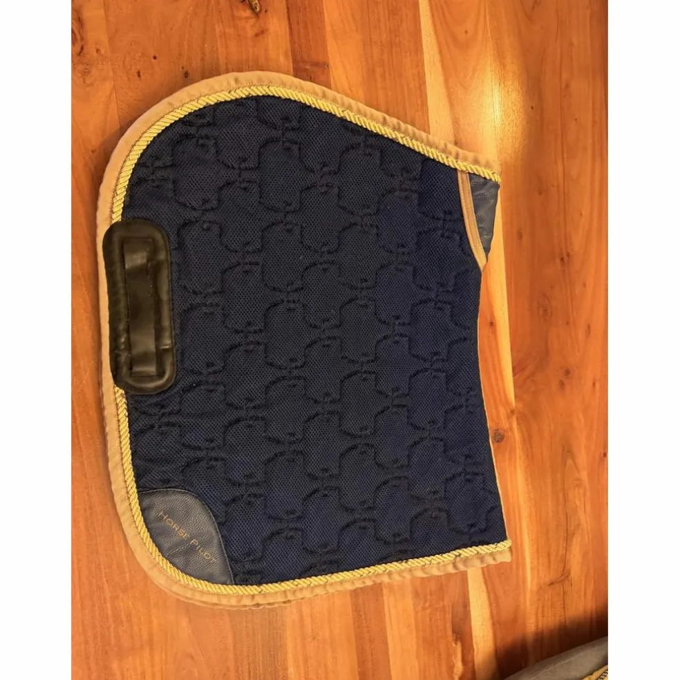 Tapis horse pilot