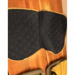 Tapis horse pilot