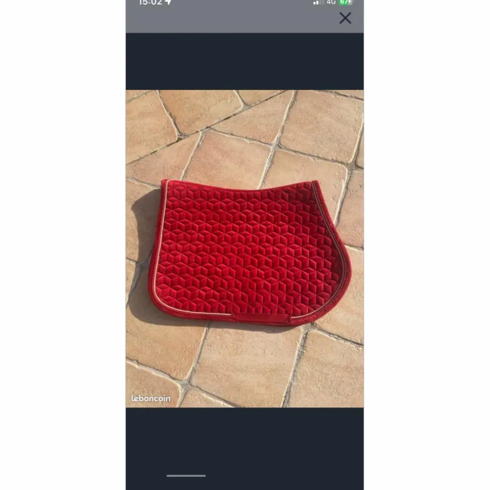 Tapis Kentucky
