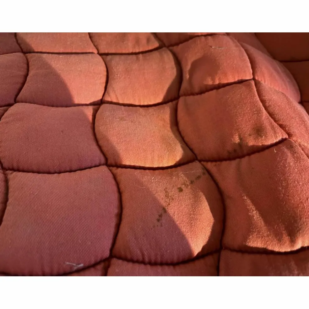 tapis Lami Cell rouge