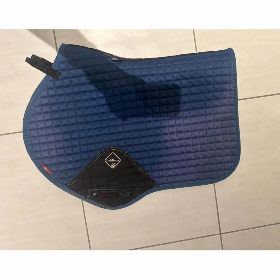Tapis Lemieux bleu