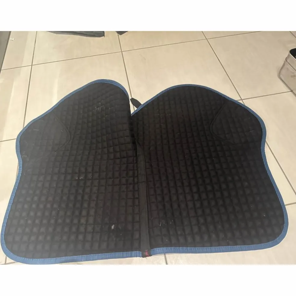 Tapis Lemieux bleu