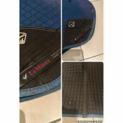 Tapis Lemieux bleu