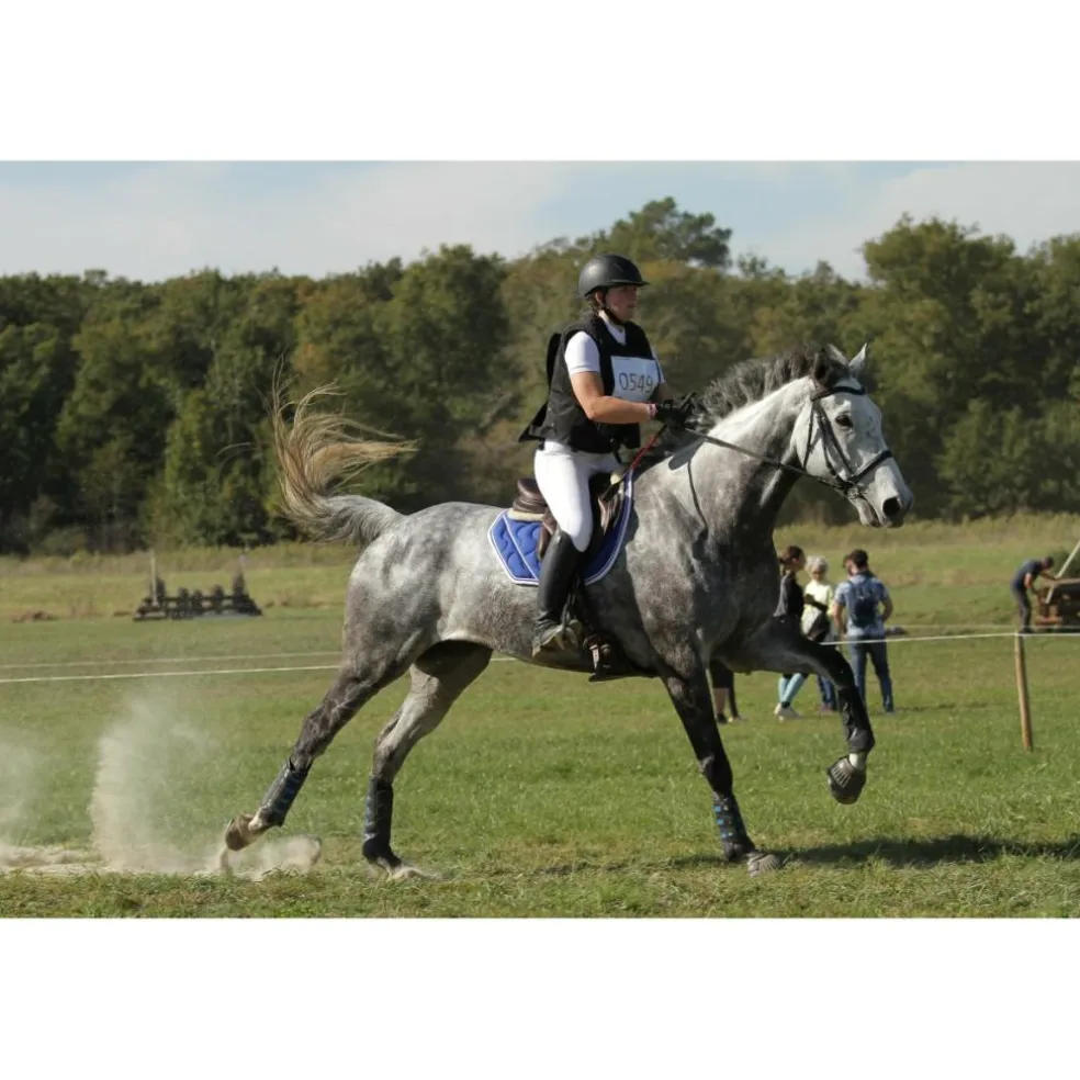 Tapis Paddock Sport