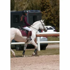 Tapis paddock sport