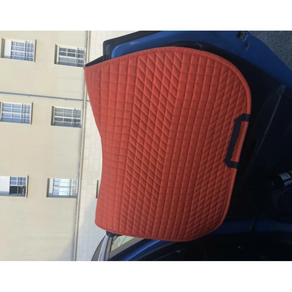 Tapis Syne