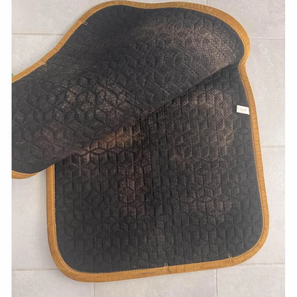 tapis velvet kentucky dressage