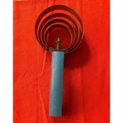 Étrille américaine