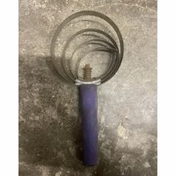 étrille américaine violette
