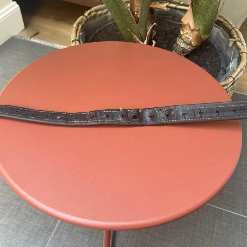 Étrivières CWD
