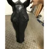 Tête de cheval