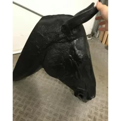 Tête de cheval