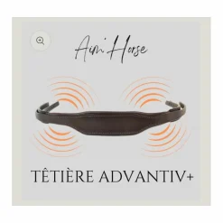Têtière Aim'horse