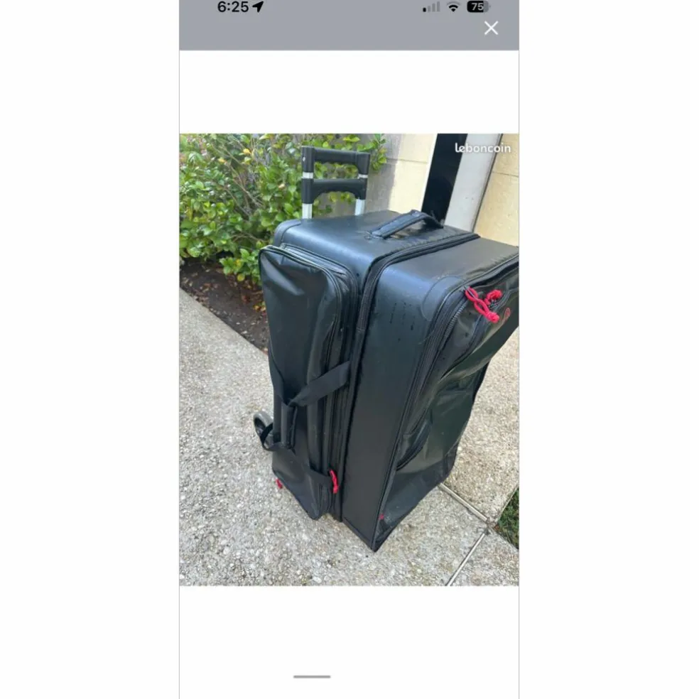 valise horse and travel