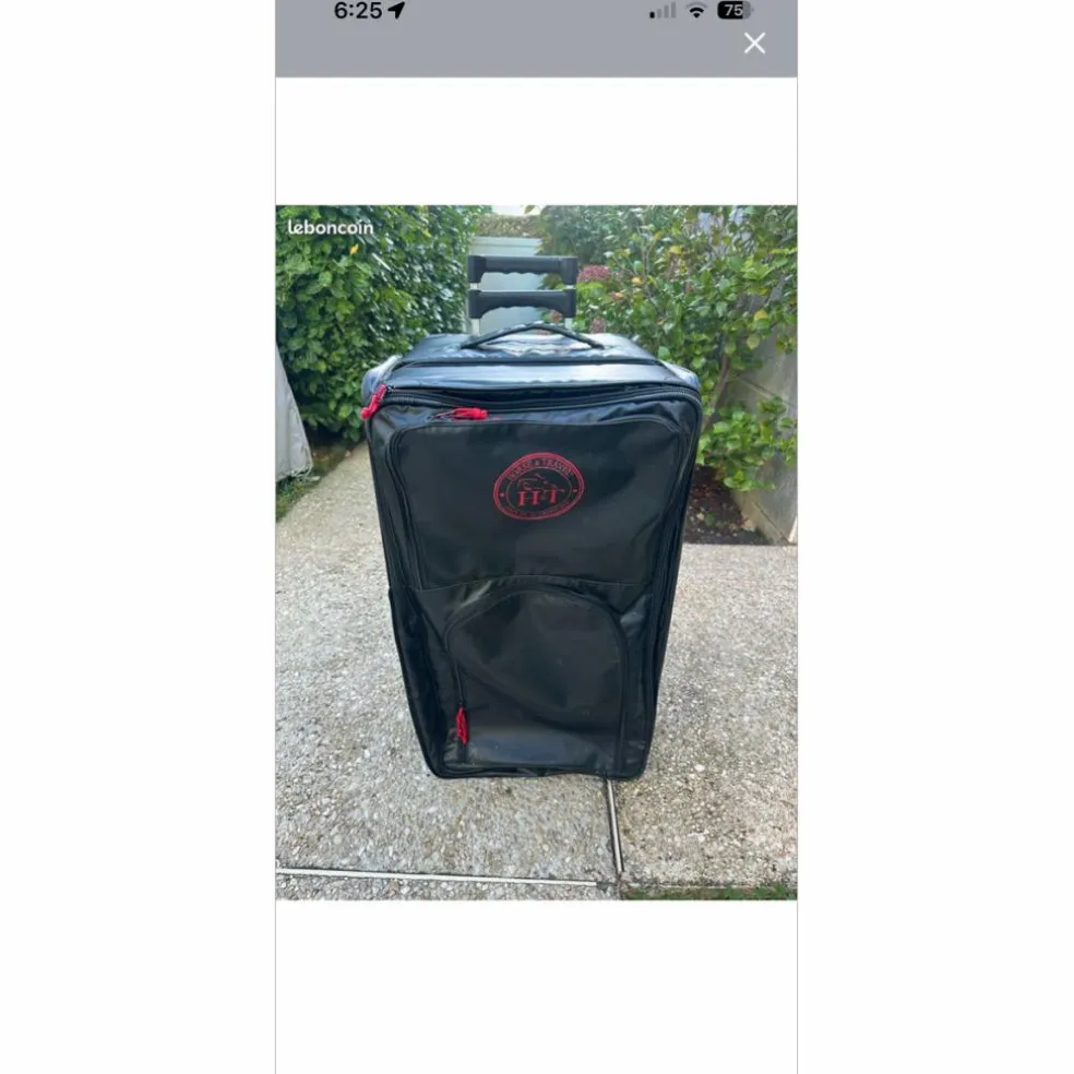 valise horse and travel