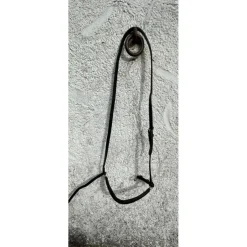 Vends muserolles allemandes