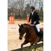 veste concours horse pilot