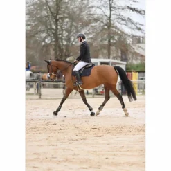 veste concours horse pilot