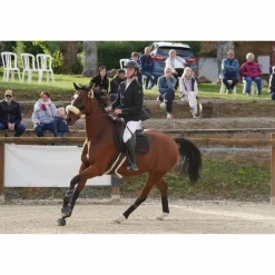 veste concours horse pilot
