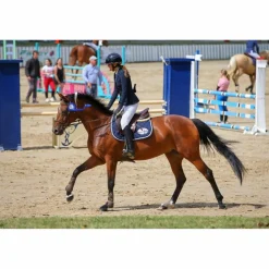 Veste de concours Cavalleria Toscana