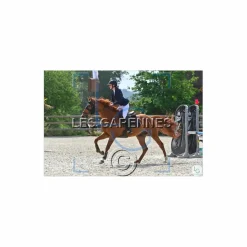 Veste de concours Equithème