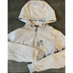 Veste zippé Fouganza grise
